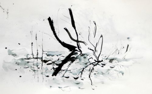 rivermarks3-3-11-2009-3-54-12-pm