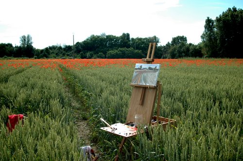 Among the poppies Among the poppies