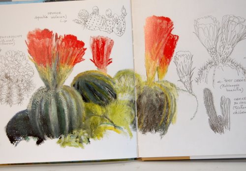 Denis clavreul Denis clavreul