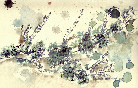 Foliage and colors in November 8