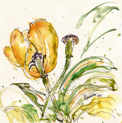 tulipes- yellow  4424x4451