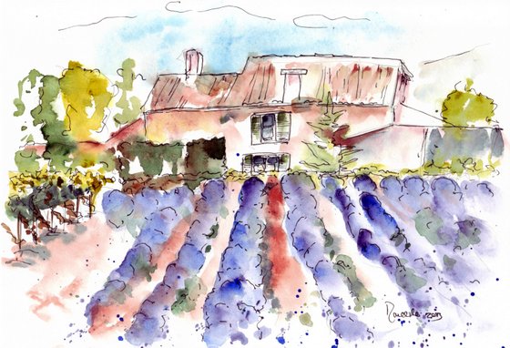 Provence sketch 4