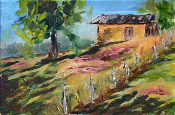 pink heather 22-09-2013 17-33-54 3950x2596