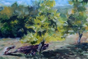 Sous l'arbre 01-09-2013 16-40-59 3502x2300