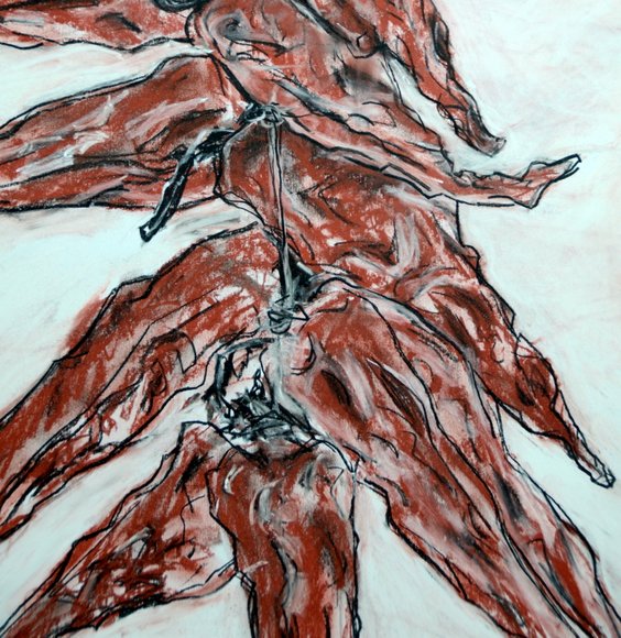 piment d'espelettes 3219x3313