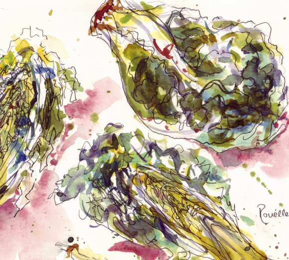 sucrine en aqua 3 close-up 3452x3102