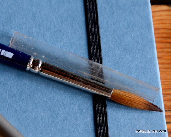 pocket brushes 3235x2590