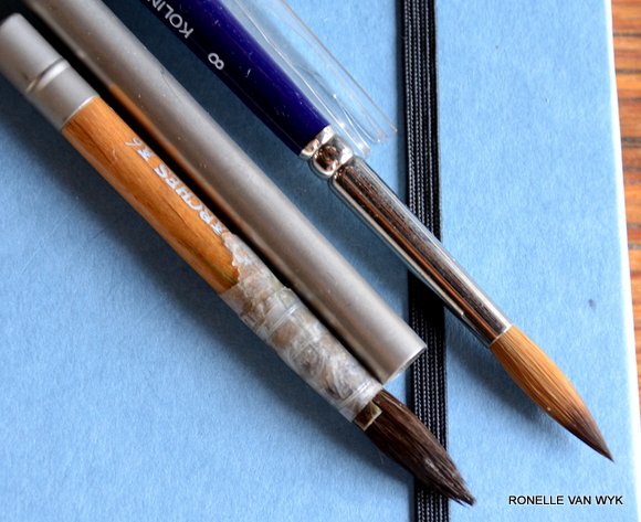 pocket brushes 3330x2715