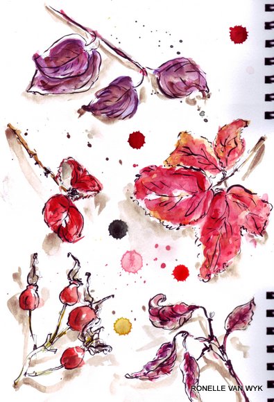 Ronelle's art-sketching November reds