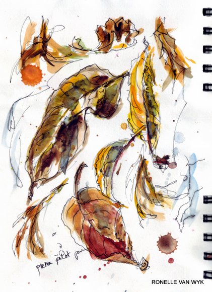 sketches-autumn leaves