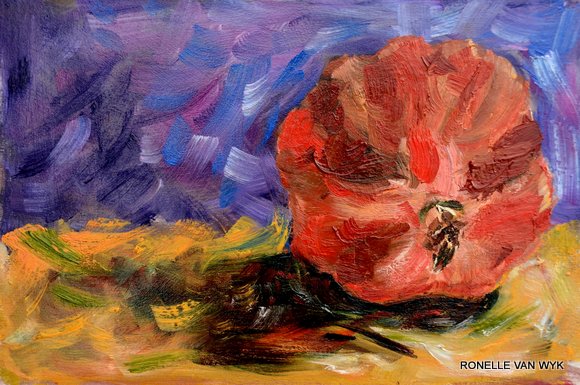 pomegranate in yellows