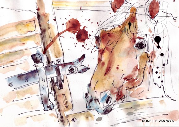 Dumela and the stable door handle