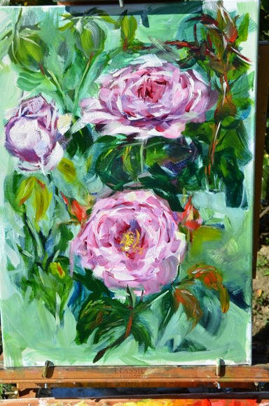 rose-generosa-carmeline-004